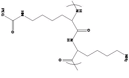 Cyanine染料和PLL聚赖氨酸