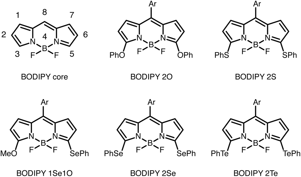 BODIPY 650/665 maleimide马来酰亚胺