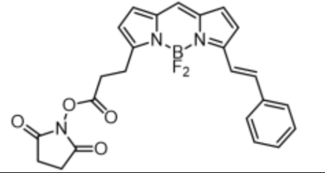 BODIPY 564/570 NHS 活化脂