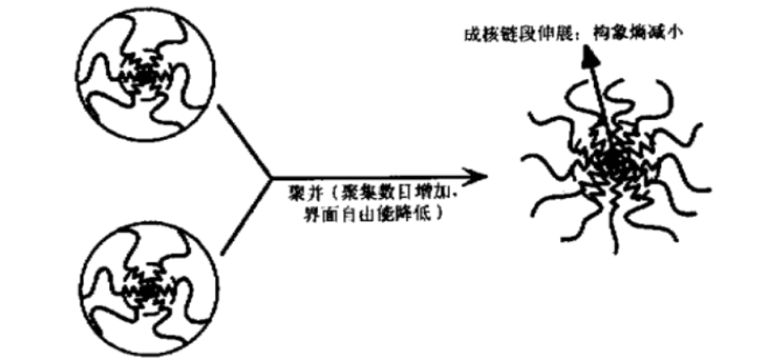 两亲性嵌段/接枝共聚物胶束化/聚电解质复合的载药纳米粒子(图2)