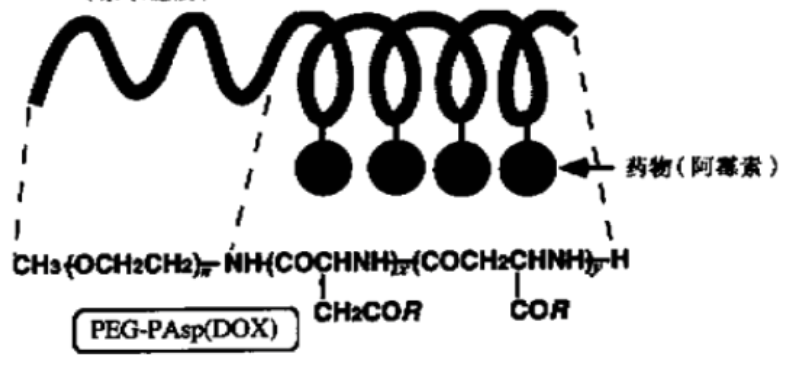 两亲性嵌段/接枝共聚物胶束化/聚电解质复合的载药纳米粒子