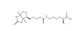 H-Lys(biotinyl)-NH₂ 61125-53-9 赖氨酸(生物素基)-NH₂
