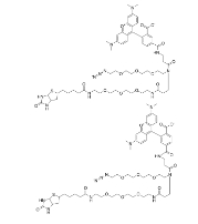  1797415-74-7 	TAMRA-Azide-PEG-Biotin      四甲基罗丹明-叠氮-PEG-生物素	