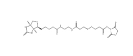142439-92-7 BIOTIN DISULFIDE N-HYDROXY-SUCCINIMIDE ESTER 生物素-双酰胺-二硫键-活性酯