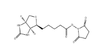 35013-72-0     Biotin NHS	生物素N-羟基琥珀酰亚胺酯 