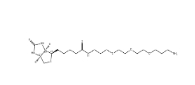1374658-86-2 Biotin-PEG3-CH2-NH2 生物素-三聚乙二醇-亚甲基-氨基
