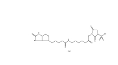 127062-22-0 Sulfo-NHS-LC-Biotin 水溶生物素活性酯交联剂,6-(生物素酰胺)己酸磺酸基琥珀酰亚胺酯钠盐