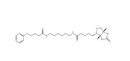 129179-83-5,Biotin-HPDP,双硫键生物素交联剂