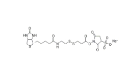 325143-98-4 Sulfo-NHS-SS-biotin,Sulfo-NHS-SS-Biotin sodium 生物素-二硫键-磺酸-琥珀酰亚胺酯