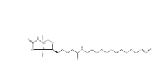 875770-34-6 Biotin-PEG4-azide/生物素四聚乙二醇叠氮