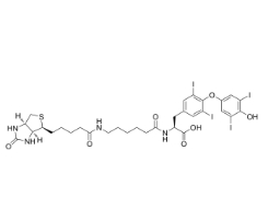  2278192-78-0       Biotin-hexanamide-(L-Thyroxine)	      生物素己酰胺-（L-甲状腺素）	