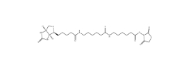 89889-52-1           Biotin-AC5-AC5-OSU           生物素氨基己酸氨基己酸琥珀酰亚胺酯		