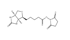 35013-72-0          生物素-N-琥珀酰亚胺基酯        	BIOTIN-NHS	