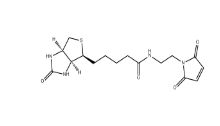 CAS ：139554-72-6          生物素 C2 马来酰亚胺 