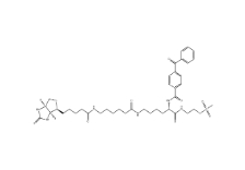 910036-44-1        甲基硫代磺酸2-[Nα-苯甲酰基苯甲酰氨基-N6-（6-生物素氨基己酰基）-L-赖氨酰胺基]乙基