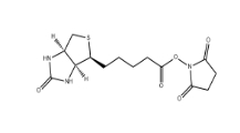 35013-72-0         NHS Biotin          	(+)生物素-N-琥珀酰亚胺基酯	