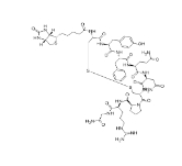  CAS号: 126703-17-1       生物素标记抗利尿激素