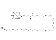 2276672-04-7         Biotin-PEG11-CH2CH2N3	生物素十一聚乙二醇乙基叠氮	