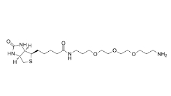 1374658-86-2          rel-Biotin-PEG3-C3-NH2	生物素-三聚乙二醇-亚甲基-氨基	