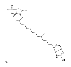 325143-98-4             Sulfo-NHS-SS-Biotin sodium	           生物素-二硫键-磺酸-琥珀酰亚胺酯	