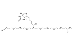 2100306-76-9             N-(Azido-PEG3)-N-Biotin-PEG4-methyl ester	       N-(叠氮-三聚乙二醇)-N-生物素-四聚乙二醇-甲酯	