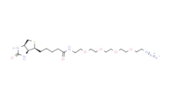 1309649-57-7      生物素-PEG4-叠氮	Biotin-PEG4-Azide	