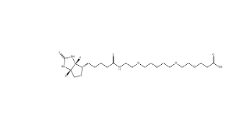 CAS： 721431-18-1          Biotin-PEG4-acid小分子PEG	 15-[D-(+)-生物素氨基]-4,7,10,13-四氧杂十五烷酸	