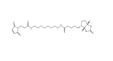 305372-39-8，Biotin-PEG2-Mal小分子PEG,生物素-二聚乙二醇-酰胺-马来酰亚胺