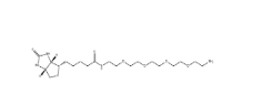 CAS号： 663171-32-2  ； Biotin-PEG4-Amine
