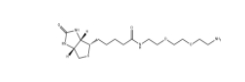 CAS号：138529-46-1;Biotin-PEG2-NH2;N-生物素-3,6-二氧辛烷-1,