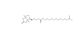 CAS号：252881-76-8 ；Biotin-PEG3-COOH ；Biotin-PEG3-prop