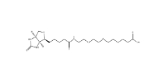 CAS号：252881-76-8  ；Biotin-PEG3-acid