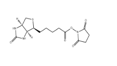 35013-72-0,Biotin-NHS,生物素-琥珀酰亚胺