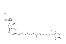 127062-22-0，Sulfo NHS LC Biotin，生物素酰氨基己酸-3-磺酸基-N-羟基琥珀酰亚胺酯	