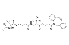 1363444-70-5；DBCO-Sulfo-link-biotin；二苯并环辛炔- 水溶性-连接生物素