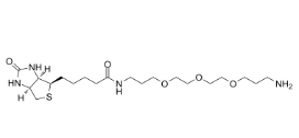 1374658-86-2,Biotin-PEG3-（CH2）3-NH2 TFA salt，生物素-三聚乙二醇-亚甲基-氨基