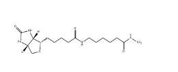 CAS: 109276-34-8/Biotin-LC-Hydrazide/生物素标记