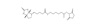72040-63-2          生物素化-epsilon-氨基己酸-N-羟基丁二酰亚胺活化酯	Succinimidyl 6-(biotinamido)hexanoate	