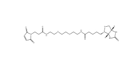 CAS： 305372-39-8；生物素 PEG2 马来酰亚胺 