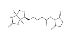 CAS号:35013-72-0；(+)生物素-N-琥珀酰亚胺基酯；Biotin NHS