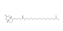 721431-18-1；Biotin-PEG4-COOH；15-[D-(+)-生物素氨基]-4,7,10,13-四氧杂十五烷酸	