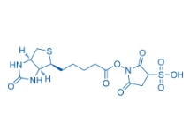 190598-55-1；Biotin sulfo-N-hydroxysuccinimide ester	；2,5-二氧代-1-((5-((3AS,4S,6AR)-2-氧代六氢-1H-噻吩并[3,4-D]咪唑-4-基)戊酰基)氧基)吡咯烷-3-磺酸	