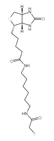 CAS No. : 93285-75-7，Iodoacetyl-LC-biotin ， 一种生物素化的亲电子探针