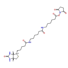  [CAS 89889-52-1]，Biotin-LC-LC-NHS，生物素-LC-LC-琥珀酰亚胺酯