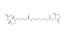 NHS-SS-biotin	、122266-55-1、2-[生物素氨基]乙基-1,3-二硫基丙酸磺基琥珀酰亚胺酯