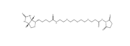 Biotin-PEG3-NHS ester、1253286-56-4、生物素三聚乙二醇琥珀酰亚胺酯