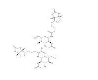 N-GlcNAc-生物素、1272755-69-7、2-乙酰氨基-2-脱氧-BETA-D-吡喃葡萄糖基氨基生物素