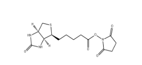 D-生物素 N-羟基琥珀酰亚胺酯、 35013-72-0、D-Biotin N-Succinimidyl Ester