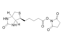 Biotin NHS；35013-72-0；生物素N-羟基琥珀酰亚胺酯 