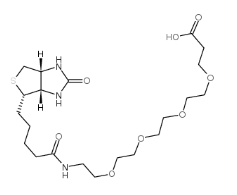 (+)-Biotin-PEG4-acid	721431-18-1	    15-[D-(+)-生物素氨基]-4,7,10,13-四氧杂十五烷酸